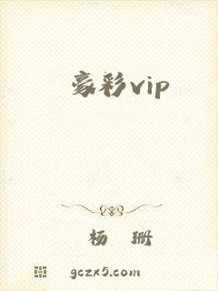 豪彩vip